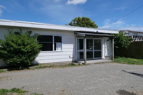 Photo of property in 22a Sussex Street, Levin, 5510