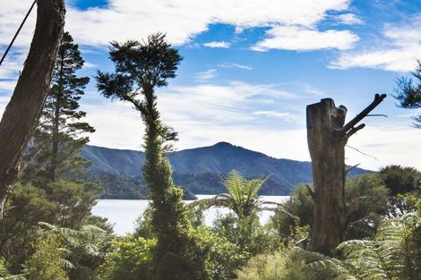 Photo of property in North Bay West, North West Bay, Picton, 7195