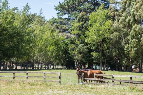 Photo of property in 368 Belvedere Road, Carrington, Carterton, 5791