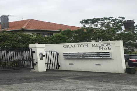 Photo of property in 6m Carlton Gore Road, Grafton, Auckland, 1023