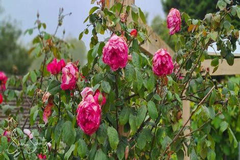 Photo of property in 10 Franklin Road, Paparoa, 0571