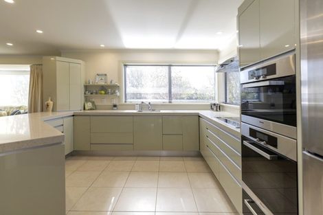 Photo of property in 29 Ribbonwood Road, Geraldine Downs, Geraldine, 7991