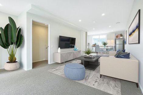 Photo of property in Aniva Terrace, 18 Ferguson Street, Newtown, Wellington, 6021