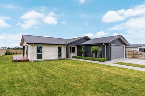 Photo of property in 36 Gimson Street, Solway, Masterton, 5810