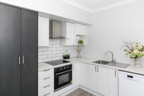 Photo of property in 167 Clarkin Road, Fairfield, Hamilton, 3214