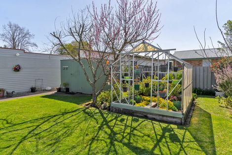 Photo of property in 34 Fergusson Street, Solway, Masterton, 5810