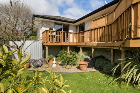 Photo of property in 47 Hollister Lane, Ohauiti, Tauranga, 3112