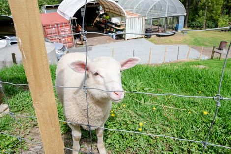 Photo of property in 15b Wood Access Road, Puhoi, Silverdale, 0994