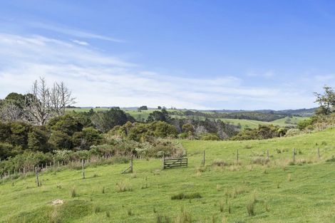 Photo of property in 132b Gatfield Road, Kaukapakapa, 0873