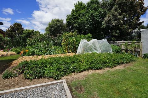 Photo of property in 47 Queenwood Avenue, Queenwood, Hamilton, 3210