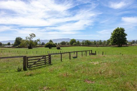 Photo of property in 162 Hinuera Road, Matamata, 3472
