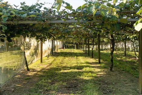 Photo of property in 585d Mclaren Falls Road, Omanawa, Tauranga, 3171