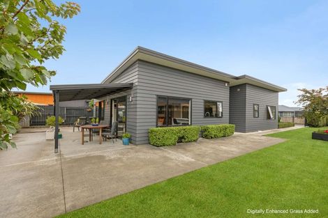 Photo of property in 302 Cambridge Avenue, Ashhurst, 4810