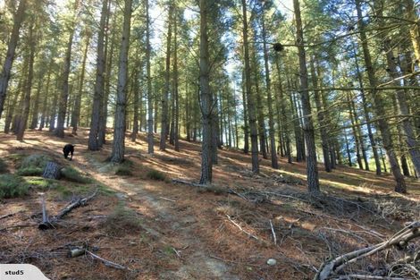 Photo of property in 65 Hillview Road, Birdlings Flat, Little River, 7591