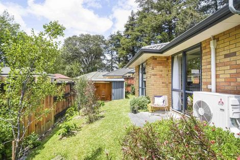 Photo of property in 6 Archer Court, Hamilton East, Hamilton, 3216