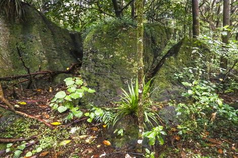 Photo of property in 729 Otaika Valley Road, Maungatapere, Whangarei, 0170