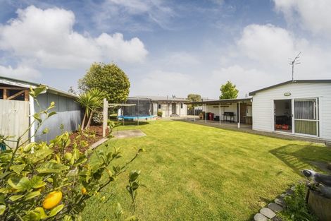 Photo of property in 9 Haybittle Street, Feilding, 4702