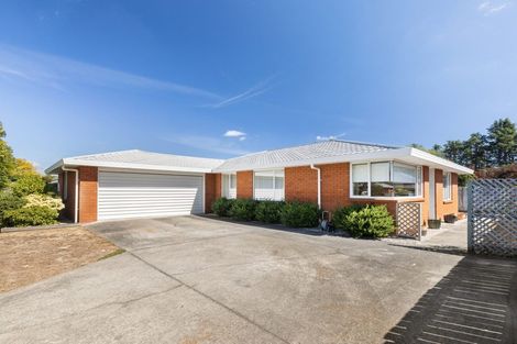 Photo of property in 40a Cashmere Grove, Witherlea, Blenheim, 7201
