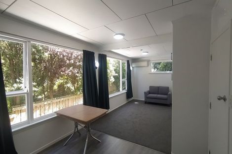Photo of property in 133a London Street, Dunedin Central, Dunedin, 9016
