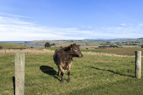 Photo of property in 131 Ireland Road, Goodwood, Palmerston, 9481