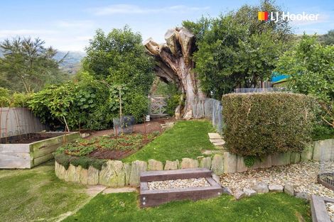 Photo of property in 330 Hillingdon Street, Normanby, Dunedin, 9010