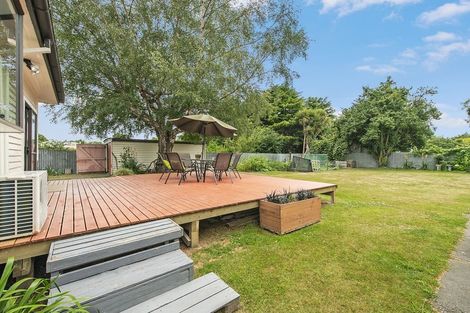 Photo of property in 17 Cryer Street, Southbridge, 7602