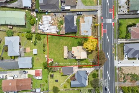 Photo of property in 125 Studholme Street, Morrinsville, 3300