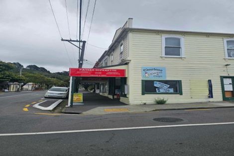 Photo of property in 100 Aro Street, Aro Valley, Wellington, 6021