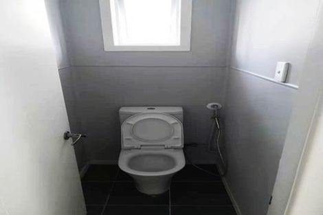 Photo of property in 60 Webster Avenue, Mount Roskill, Auckland, 1041