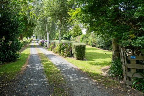 Photo of property in 229 Norwegian Road, Rotoorangi, Cambridge, 3495
