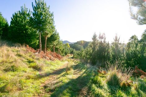 Photo of property in 751 Ongo Road, Hunterville, 4782