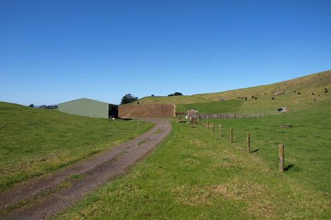 Photo of property in 247 Kaihau Road, Karioitahi, Waiuku, 2683