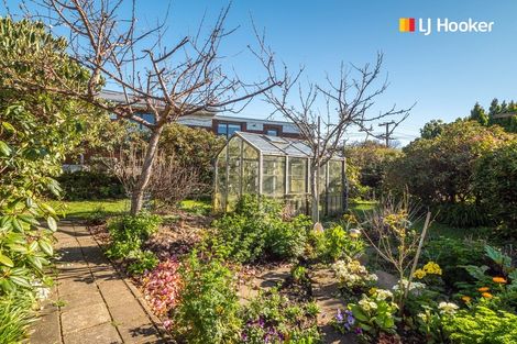 Photo of property in 61 Galloway Street, Mornington, Dunedin, 9011