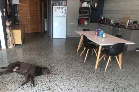 Photo of property in 14a Dudley Terrace, Frankton, Hamilton, 3204