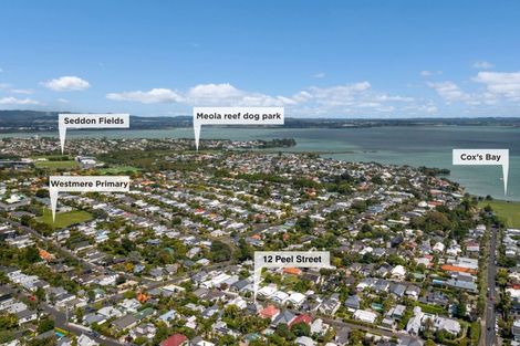 Photo of property in 12 Peel Street, Westmere, Auckland, 1022