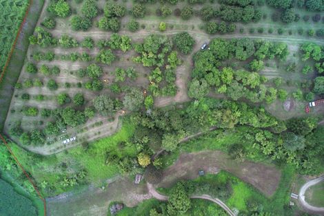 Photo of property in 400 Te Matai Road, Te Puke, 3188