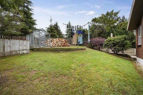 Photo of property in 217 Dalziel Road, Brockville, Dunedin, 9011