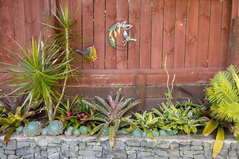 Photo of property in 137 Ohauiti Road, Hairini, Tauranga, 3112