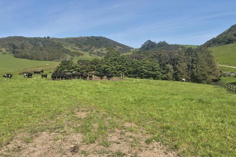 Photo of property in 81 Edgerley Road, Kaipara Flats, Warkworth, 0981