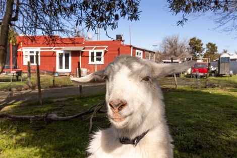 Photo of property in 4 March Street, Spring Creek, 7202