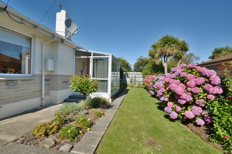Photo of property in 141 Macandrew Road, South Dunedin, Dunedin, 9012