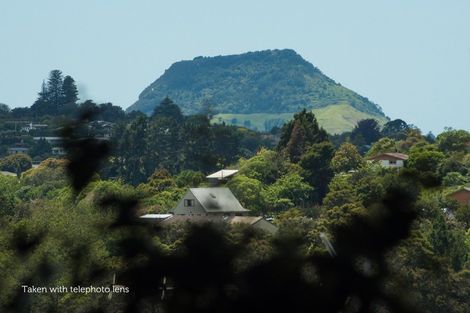 Photo of property in 185 Cambridge Road, Bethlehem, Tauranga, 3110