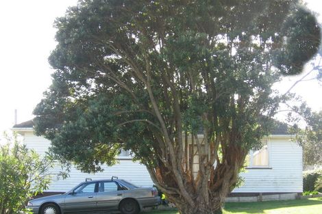 Photo of property in 3 Fawn Street, Cannons Creek, Porirua, 5024