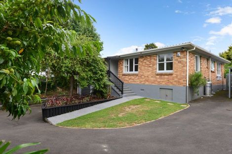 Photo of property in 93 Storey Avenue, Forest Lake, Hamilton, 3200