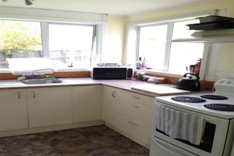 Photo of property in 17 Woodhaugh Street, Woodhaugh, Dunedin, 9010