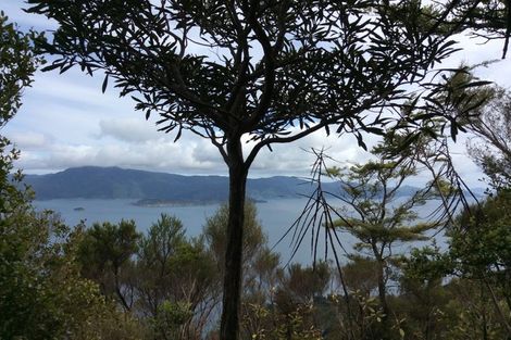 Photo of property in 1489 Te Towaka - Port Ligar Road, Admiralty Bay, French Pass, 7193