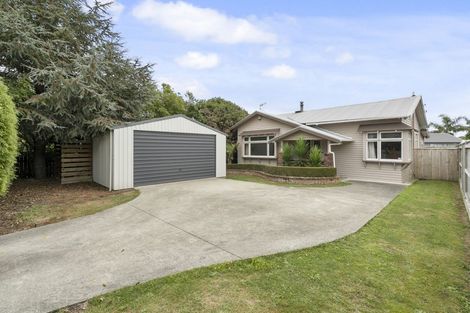 Photo of property in 19 Limbrick Street, Terrace End, Palmerston North, 4410