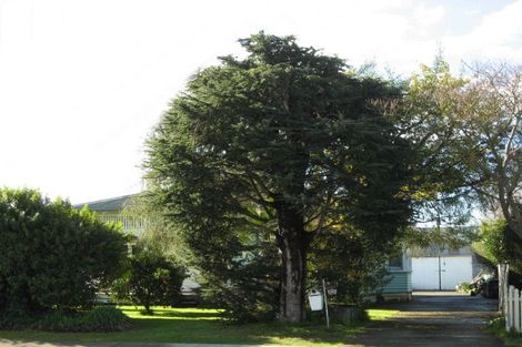 Photo of property in 109 Garnett Street, Raureka, Hastings, 4120