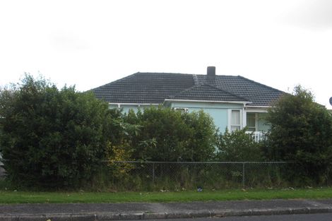 Photo of property in 20 Skeates Avenue, Wesley, Auckland, 1041