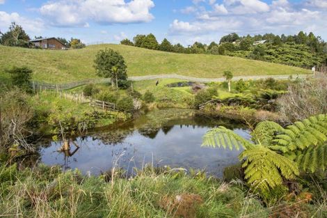Photo of property in 89 Dickey Flat Road, Waikino, Waihi, 3682